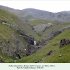 erebia melancholica biotope elbrus1